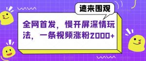 全网首发，慢开屏深情玩法，一条视频涨粉2000+【揭秘】|淘骐网赚资源库