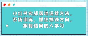 小红书实战落地运营方法，系统训练，抓住搞钱方向，跟有结果的人学习|淘骐网赚资源库
