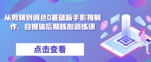 从剪辑到调色0基础新手影视制作,自媒体后期核心训练课|淘骐网赚资源库