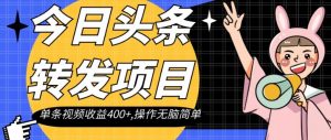 今日头条转发项目，单条视频收益400+,操作无脑简单【揭秘】|淘骐网赚资源库