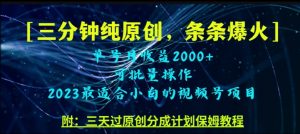 三分钟制作视频号纯原创，条条爆款，轻松月入过万【揭秘】|淘骐网赚资源库