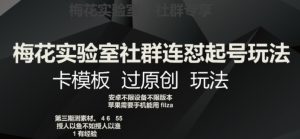 梅花实验室社群连怼起号玩法，卡模板过原创玩法【揭秘】|淘骐网赚资源库