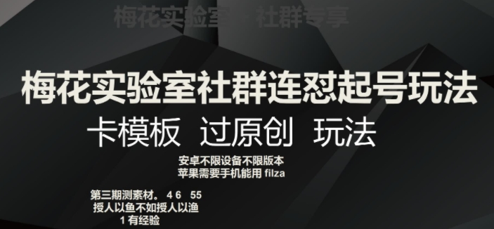梅花实验室社群连怼起号玩法，卡模板过原创玩法【揭秘】|淘骐网赚资源库