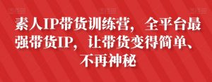 素人IP带货训练营，全平台最强带货IP，让带货变得简单、不再神秘|淘骐网赚资源库