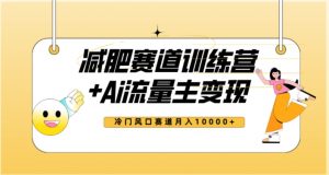 全新减肥赛道AI流量主+训练营变现玩法教程,蓝海冷门赛道小白轻松上手,月入10000+|淘骐网赚资源库