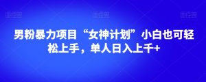 男粉暴力项目“女神计划”小白也可轻松上手,单人日入上千+【揭秘】|淘骐网赚资源库
