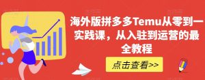 海外版拼多多Temu从零到一实践课,从入驻到运营的最全教程|淘骐网赚资源库