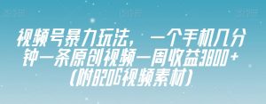 视频号暴力玩法，一个手机几分钟一条原创视频一周收益3800+（附820G视频素材）|淘骐网赚资源库