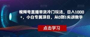 视频号直播带货冷门玩法，日入1000+，小白专属项目，从0到1实战教学【揭秘】|淘骐网赚资源库