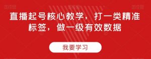 直播起号核心教学,打一类精准标签,做一级有效数据|淘骐网赚资源库