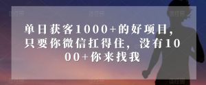 单日获客1000+的好项目，只要你微信扛得住，没有1000+你来找我【揭秘】|淘骐网赚资源库