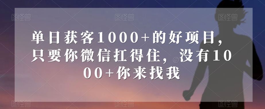 单日获客1000+的好项目，只要你微信扛得住，没有1000+你来找我【揭秘】|淘骐网赚资源库