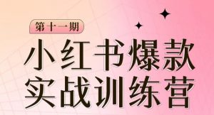 小红书博主爆款训练营第11期,手把手教你从0-1做小红书,从定位到起号到变现|淘骐网赚资源库
