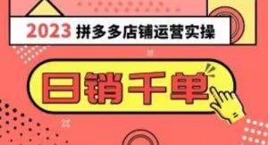 2023拼多多运营实操,每天30分钟日销1000+,爆款选品技巧大全(10节课)|淘骐网赚资源库