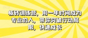 板砖训练营，用一年时间成为专业的人，带你突破行动局限，快速成长|淘骐网赚资源库