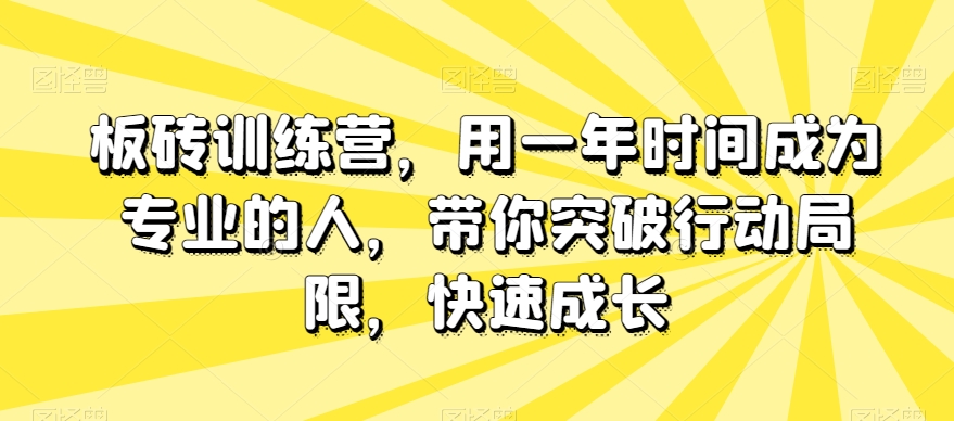 板砖训练营,用一年时间成为专业的人,带你突破行动局限,快速成长|淘骐网赚资源库