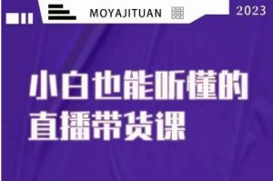 大威本威·能听懂的直播带货课,小白也能听懂,20节完整|淘骐网赚资源库