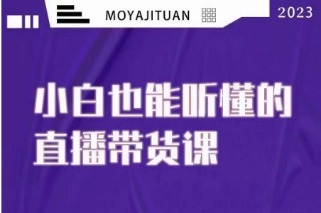 大威本威·能听懂的直播带货课,小白也能听懂,20节完整|淘骐网赚资源库