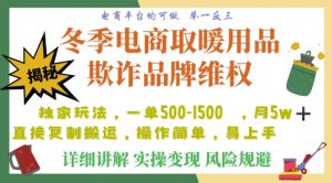 利用电商平台冬季销售取暖用品欺诈行为合理制裁店铺,单日入900+【仅揭秘】|淘骐网赚资源库