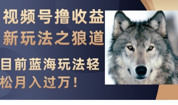 视频号撸收益新玩法之狼道,目前蓝海玩法,轻松月入过万【揭秘】|淘骐网赚资源库