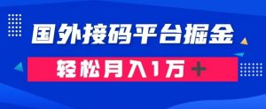 通过国外接码平台掘金：成本1.3，利润10＋，轻松月入1万＋【揭秘】|淘骐网赚资源库