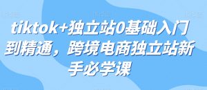 tiktok+独立站0基础入门到精通,跨境电商独立站新手必学课|淘骐网赚资源库