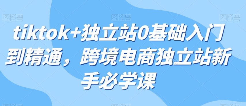 tiktok+独立站0基础入门到精通,跨境电商独立站新手必学课|淘骐网赚资源库