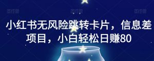 小红书无风险跳转卡片，信息差项目，小白轻松日赚800【揭秘】|淘骐网赚资源库