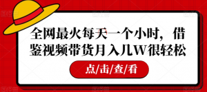 全网最火每天一个小时，借鉴视频带货月入几W很轻松【揭秘】|淘骐网赚资源库