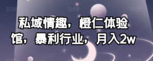 私域情趣,橙仁体验馆,暴利行业,月入2w【揭秘】|淘骐网赚资源库