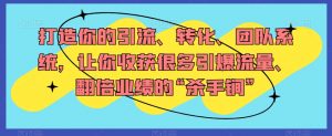 打造你的引流、转化、团队系统,让你收获很多引爆流量、翻倍业绩的“杀手锏”|淘骐网赚资源库