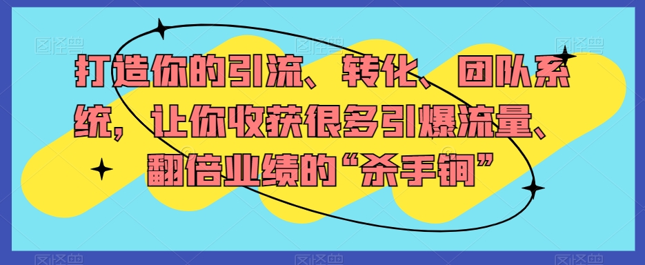 打造你的引流、转化、团队系统,让你收获很多引爆流量、翻倍业绩的“杀手锏”|淘骐网赚资源库