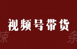 视频号带货联盟,赚信息差的带货钱,只需手机随时随地都可以做!|淘骐网赚资源库