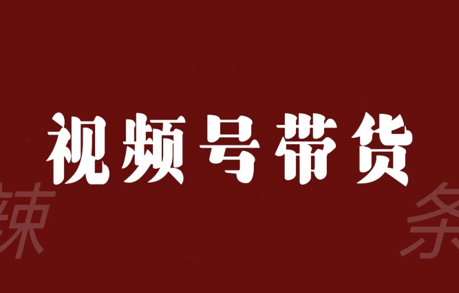 视频号带货联盟,赚信息差的带货钱,只需手机随时随地都可以做!|淘骐网赚资源库