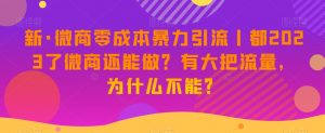 新·微商零成本暴力引流丨都2023了微商还能做?有大把流量,为什么不能?|淘骐网赚资源库