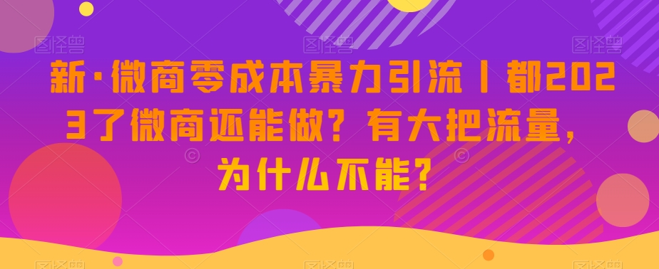 新·微商零成本暴力引流丨都2023了微商还能做?有大把流量,为什么不能?|淘骐网赚资源库