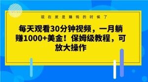 每天观看30分钟视频，一月躺赚1000+美金！保姆级教程，可放大操作【揭秘】|淘骐网赚资源库