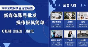 新媒体账号批发,操作极其简单,0基础0经验门槛低【揭秘】|淘骐网赚资源库