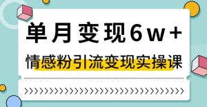 单月变现6W+，抖音情感粉引流变现实操课，小白可做，轻松上手，独家赛道【揭秘】|淘骐网赚资源库