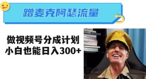 蹭麦克阿瑟热点,做视频号分成计划,小白三分钟一条日入300+【揭秘】|淘骐网赚资源库