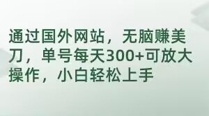 通过国外网站，无脑赚美刀，单号每天300+可放大操作，小白轻松上手【揭秘】|淘骐网赚资源库