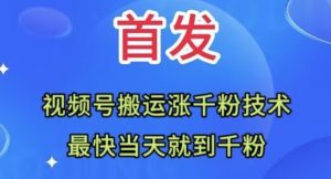 全网首发：视频号无脑搬运涨千粉技术，最快当天到千粉【揭秘】|淘骐网赚资源库