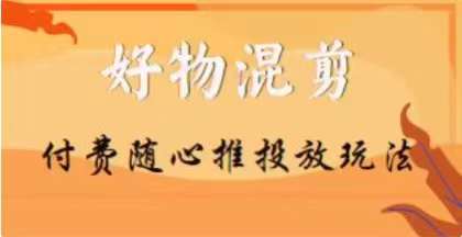【万三】好物混剪付费随心推投放玩法,随心投放小课抖音教程|淘骐网赚资源库