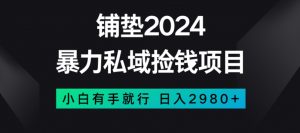 暴力私域捡钱项目，小白无脑操作，日入2980【揭秘】|淘骐网赚资源库