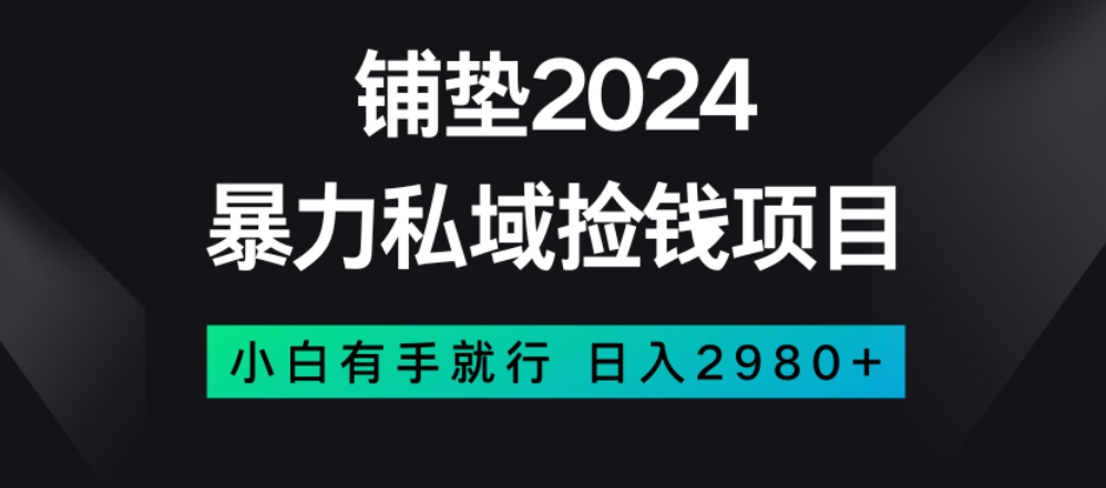 暴力私域捡钱项目，小白无脑操作，日入2980【揭秘】|淘骐网赚资源库