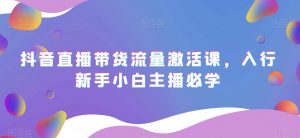 抖音直播带货流量激活课,入行新手小白主播必学|淘骐网赚资源库
