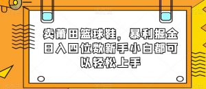 卖莆田篮球鞋，暴利掘金日入四位数新手小白都可以轻松上手【揭秘】|淘骐网赚资源库