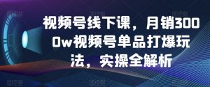 视频号线下课,月销3000w视频号单品打爆玩法,实操全解析|淘骐网赚资源库