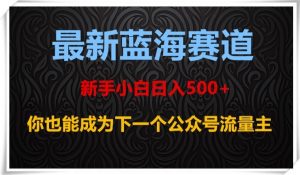 最新蓝海赛道,新手小白日入500+,你也能成为下一个公众号流量主【揭秘】|淘骐网赚资源库