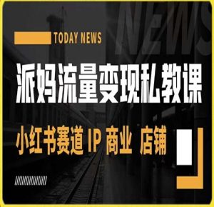 派妈流量变现私教课,小红书赛道IP 商业 店铺 |淘骐网赚资源库